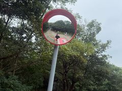 -巢湖姥山岛