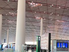 -首都机场T3航站楼商务CIP贵宾厅