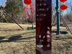 -莲花池公园