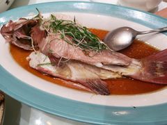 -广东道至正餐厅(区庄店)