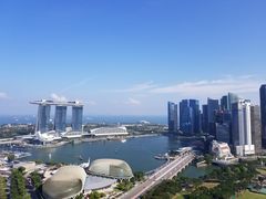 -新加坡瑞士史丹福酒店