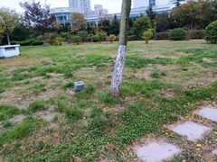 -汇泉广场