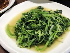 鸡毛菜-老客站酒楼(金花南路店)