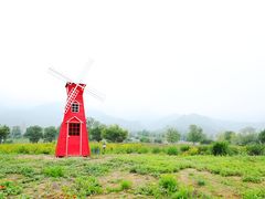-紫云台香草园