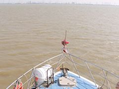 -大湾区中央湿地公园-十九涌