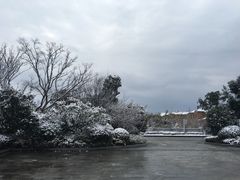 -上海崇明金茂凯悦酒店