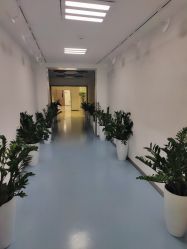 -丰联丽格医疗美容·联合丽格眼整形中心