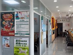 -瑞派长江宠物医院·猫科·外科·24小时夜护(谊城公寓分院)