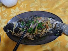 清蒸石斑鱼-板桥海鲜广场(文明东店)
