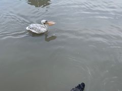 -上海野生动物园
