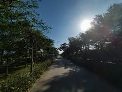 -亚龙湾国际玫瑰谷