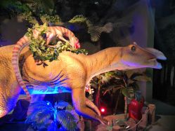 -恐龙探索乐园(磁器口店)