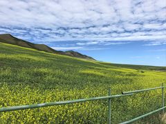 -扁都口生态休闲旅游区