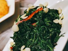 枸杞苗-牧马人奶茶馆(乌兰察布总店)