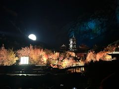 -禅宗少林·音乐大典
