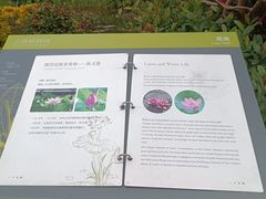 -云溪植物园