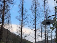 -东明山森林公园