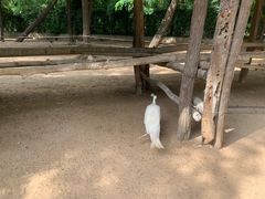 -秦皇岛野生动物园