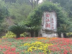 -广州白江湖森林公园