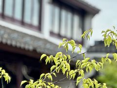 -卫道观前潘宅