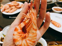 野生大斑节虾-凯华海鲜火锅·传承三十六年