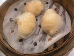 -粤厨点心专门店
