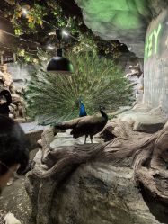 -Zoolung Zoolung动物主题公园(海信广场店)