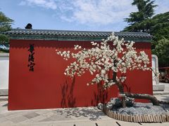 -华清宫景区
