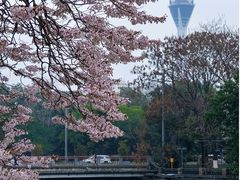-红星桥(地铁站)
