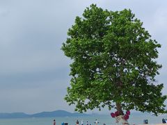 -青岛第一海水浴场