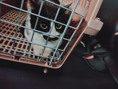 -总动员动物医院(宝丰院店)