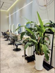 -MMbyHairCode 芭曲发型沙龙