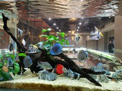 -黄鱼炙夜(华家池店)