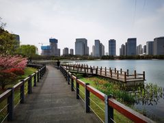 -尚贤河湿地