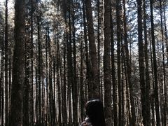 -石棉县孟获城
