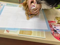 -艾贝尔宠物诊疗