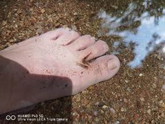 -素山寺森林公园