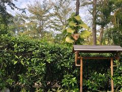 -厦门日月谷温泉渡假村