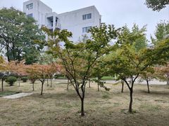 -南京信息职业技术学院