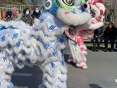 -荷兰花海