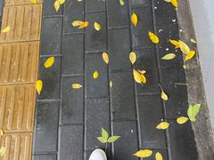 -丽江庭院之丽江往事(安定门店)