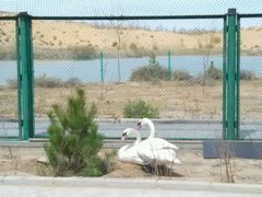 android_upload_pic-水镜湖