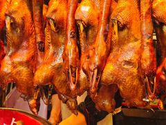 -日日香卤鹅饭店·澄海狮头鹅(澄海店)