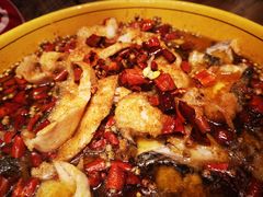 沸腾水煮鱼-蜀韵川香水煮鱼(泰山路店)
