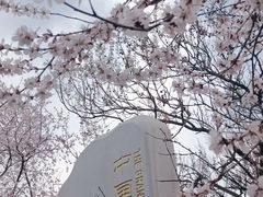 -桃花堤公园