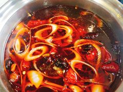-蒙星月涮肚火锅城(宏运家园店)