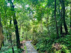 -岳麓山风景名胜区