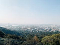 -紫金山索道-售票处