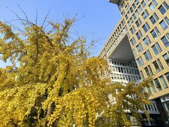 -北京大学口腔医院(魏公村总院)