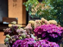 -成都银泰中心in99